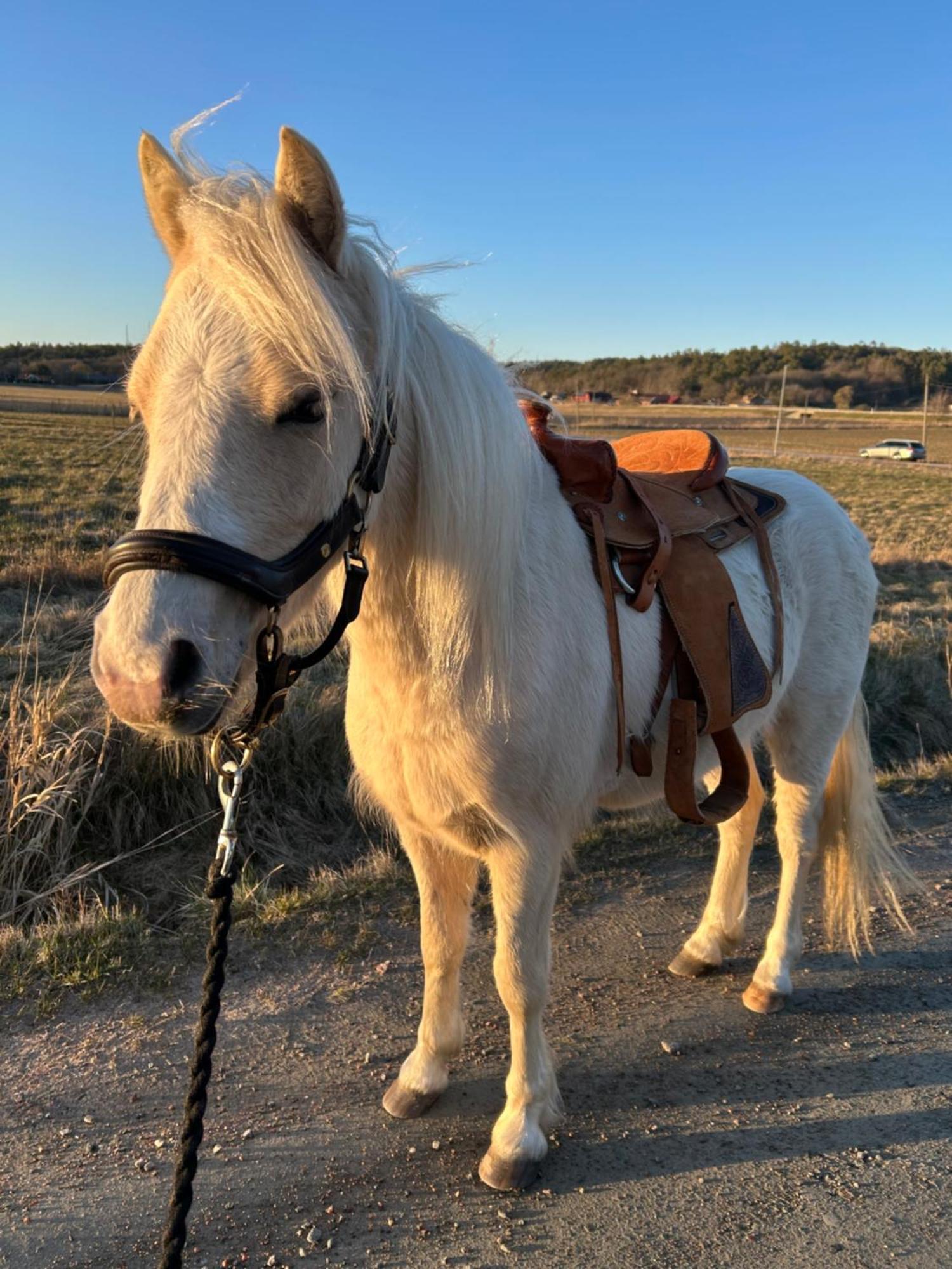 Johannas Ranch Lgh Ovan Stallet Kullavik Exteriör bild